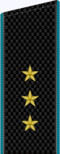 Старший прапорщик ВМФ (голубой кант).png