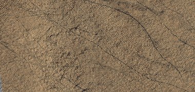 Close color view of dust devil tracks, as seen by HiRISE under HIWish program patterned ground is visible in the background.