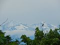 Miniatura para Sierra Nevada de Santa Marta