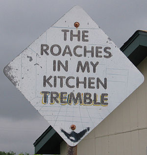 Amarillo Tx - Dynamite Museum - Roaches Kitchen