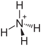 Ammonium-Ion