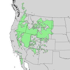 Description de l'image Artemisia tridentata range map 1.png.