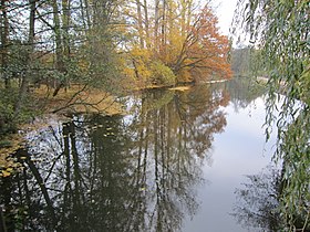 Teich der Wassermühle Aumühle