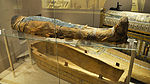 mummie van Oesai, zoon van Nehket - 26e dynastie