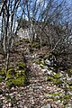 Le donjon vu des fossés