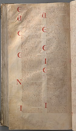 CodexGigas 526 Luke.jpg