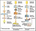 Miniatura de la versión del 04:36 29 jun 2016