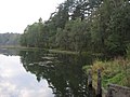 Juodė River near Kalveliai