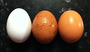 English: Three chicken eggs of contrasting col...