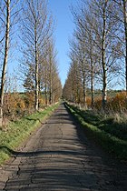 Frieston Heath Lane - geograph.org.uk - 281545.jpg