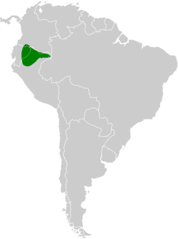 Distribución geográfica del tororoí del Napo.