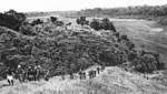 Nativos das Ilhas Salomão guiando os Marines americanos que perseguiam as forças japonesas em Guadalcanal, novembro de 1942.