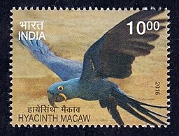 2016 postage stamp from India