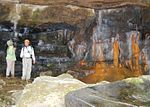 Järnbakterier har orsakat roströda fläckar där vatten sipprar in i en grotta. William B. Bankhead National Forest i Alabama.