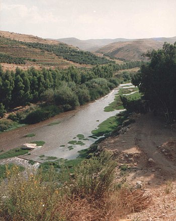 The Zarqa River