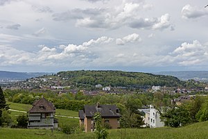 Käferberg gesehen vom Zürichberg.jpg