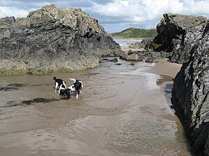 Killantringan or Kilringan Bay, below an ancient Dun