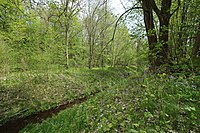 Landschaftsschutzgebiet Am Röhrensteg in Zwickau