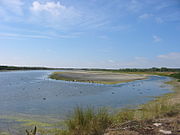 Il parco ornitologico (Marquenterre) all'estuario del fiume e della Maye