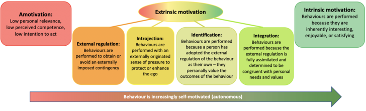 the different types of motivation theorised by E.L. Deci and R.M. Ryan in organismic integration theory, a mini-theory of self-determination theory.
