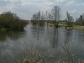 Confluence of the rivers Otava and Blanice