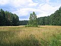 Landschaftsschutzpark Brodnicki in der Umgebung von Zbiczno-See und der Ortschaft Rytebłota
