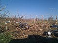 Image 15Tornado damage in Phil Campbell following the statewide April 27, 2011, tornado outbreak (from Alabama)