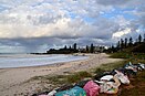 Port Macquarie 4.JPG