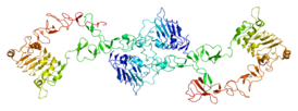 Структура белка ErbB-3.