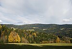 Reinischkogel vom Wildbachtal