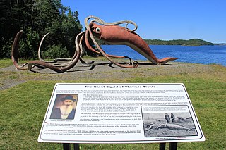 #45 (2/11/1878) Another view of the sculpture showing the accompanying information plaque (compare the giant squid illustration therein with this modified version). Part of the Giant Squid Interpretation Site, the sculpture is located close to the site of the original specimen's capture and has featured on a Canada Post stamp.[314]