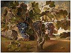 Weinrebe in einer Landschaft, um 1645 (?), Öl auf Leinwand, 67 × 90 cm, Prado, Madrid