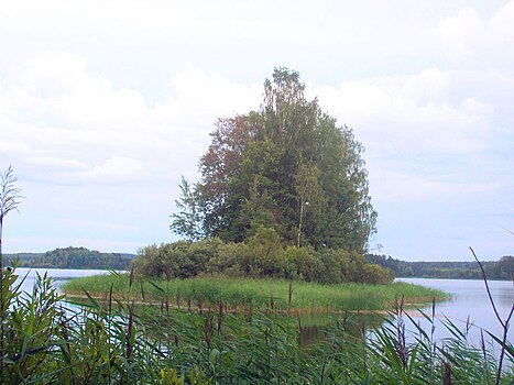 Malo ostrvo u nacionalnom parku Smolensko pojezerje