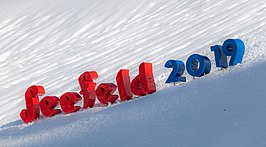 Wereldkampioenschappen noords skiën 2019