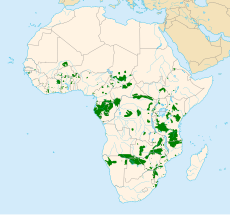 African Elephant distribution map.svg