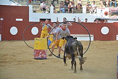 Arènes de Morlanne lors de la course des cuisinières