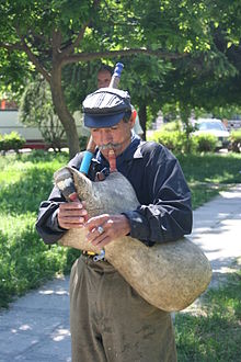 Bag piper, Elbasan, Albanie.jpg