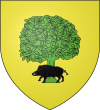 Blason