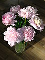 Bouquet of peonies 12. 
 JPG