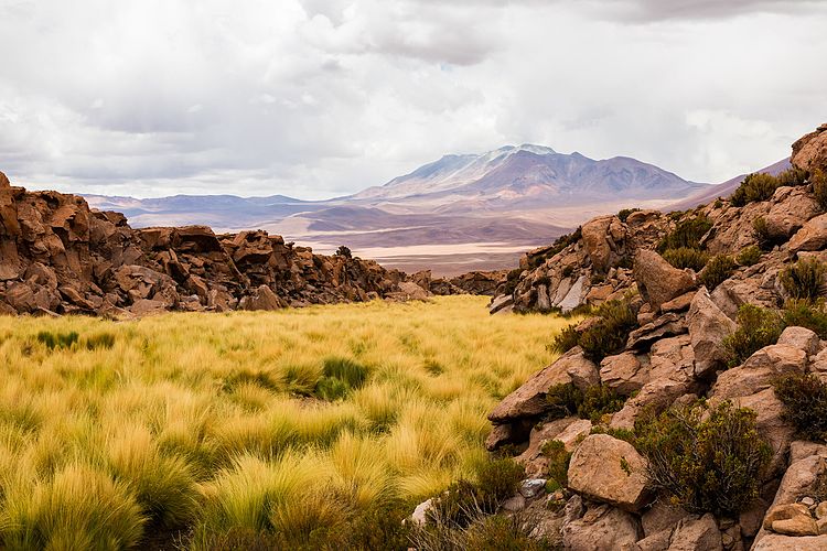 Вид на вулкан Олька со склона вулкана Ауканкильча на севере Чили