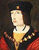 Carles VIII de França