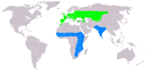 svetlo zelena:gnezdi modra: prezimovališče
