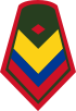 Колумбия-Армия-OR-6.svg