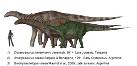 Дикреозавр, амаргазавр и брахитрахелопан