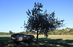 Image illustrative de l’article Dolmen de Kermorvant