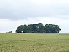 Tumulus van Saives, het ensemble dat de grafheuvel vormt met zijn directe omgeving