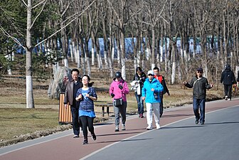 Olympic Forest Park, Пекин, Китай