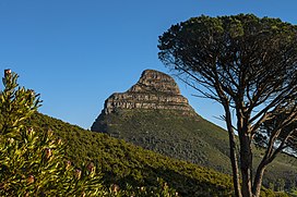 Lion's Head things to do in Melkbosstrand