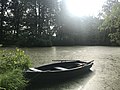 Ruderboot auf dem Parkteich