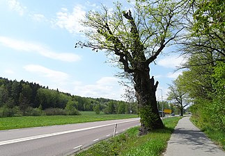 Glömstadalen västerut med Hagstaeken.